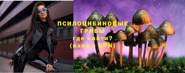 спайс Алексеевка