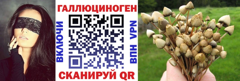 Псилоцибиновые грибы ЛСД Благодарный